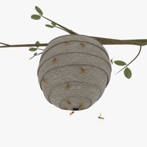 wasp nest 3D model