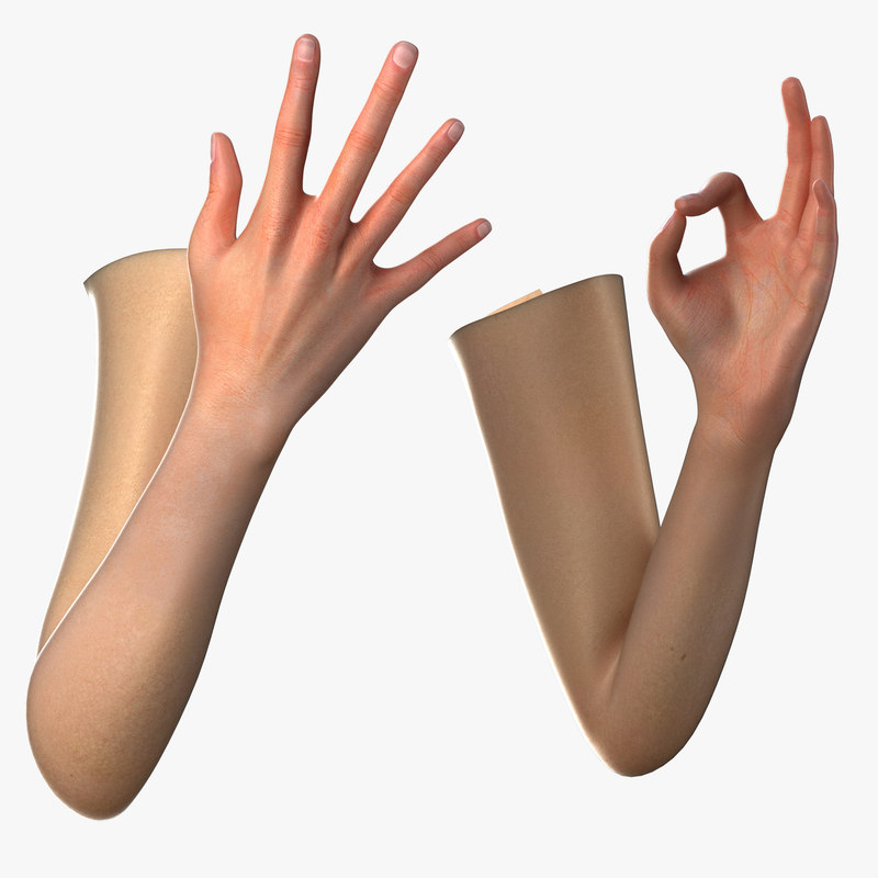 Female arm. Arm 3d model. 3d моделирование woman Arms. Arm макет. Arm model 3ds.