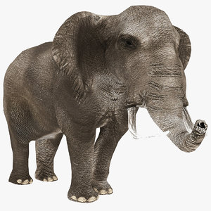 realistic elephant model