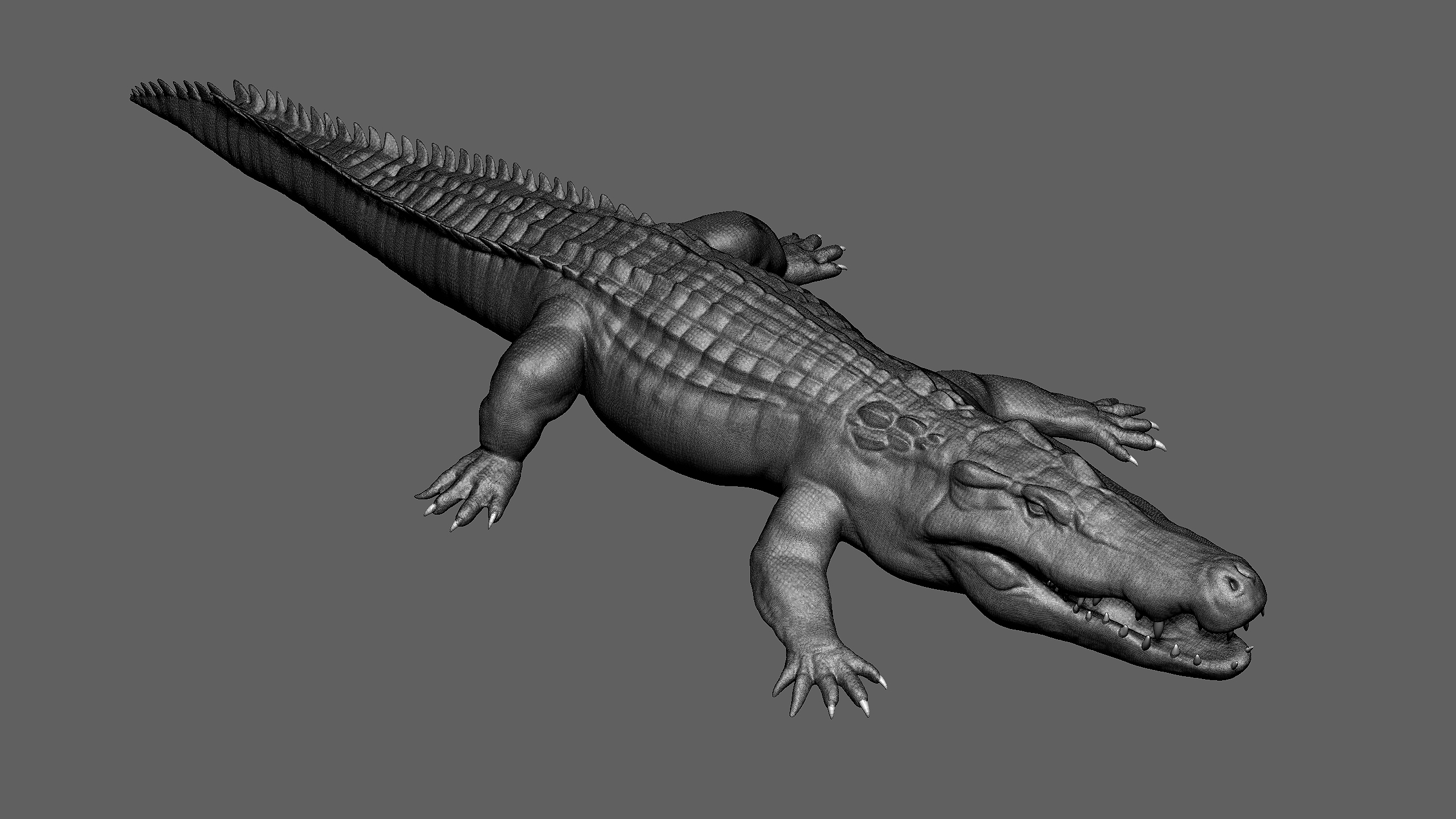 3D crocodile basemesh - TurboSquid 1421872