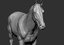 horse vfx zbrush ztl 3D model