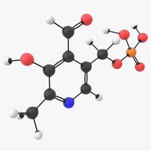 3D vitamin b6 pyridoxal phosphate