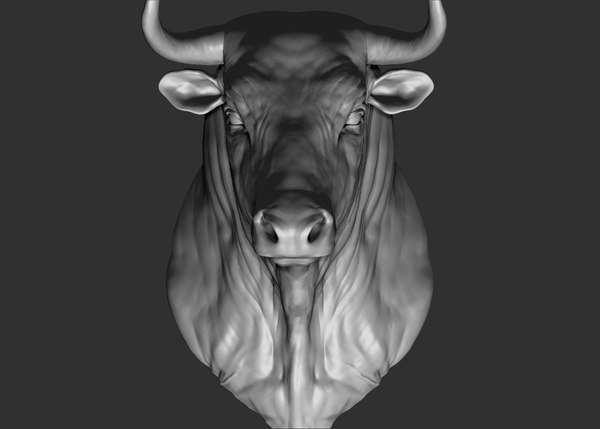 3D bull head model - TurboSquid 1424131