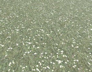 Grass terrain pack Texture