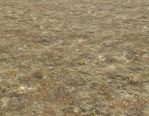 Tundra terrain texture 2 PBR