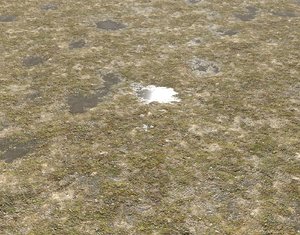 Tundra terrain texture 3 PBR