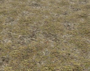 Tundra terrain texture 4 PBR