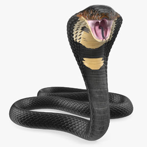 3D dark skin cobra attacking