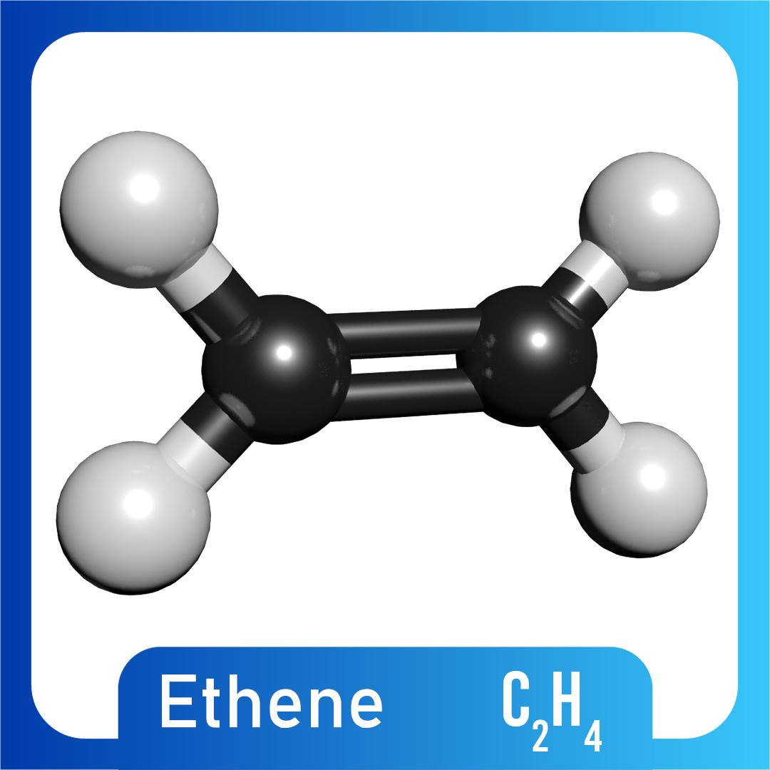 C2h4 Этилен. Молекула этилена. C2h4 молекула. Модель этилена. Этилен хлорид
