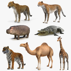 3D african animals 5 model