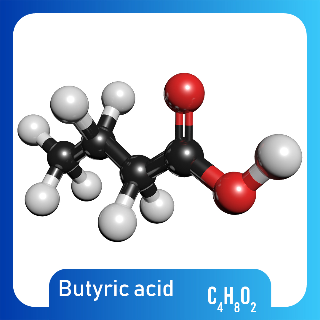 Acide Butyrique Acide Gras Saturé Ou Insaturé