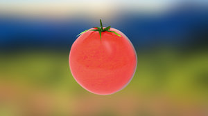 3D tomato redshift model