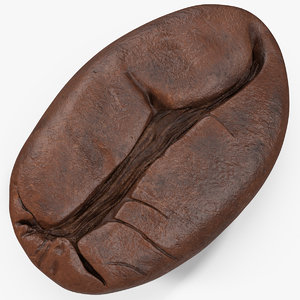 3D coffee bean roasted 4