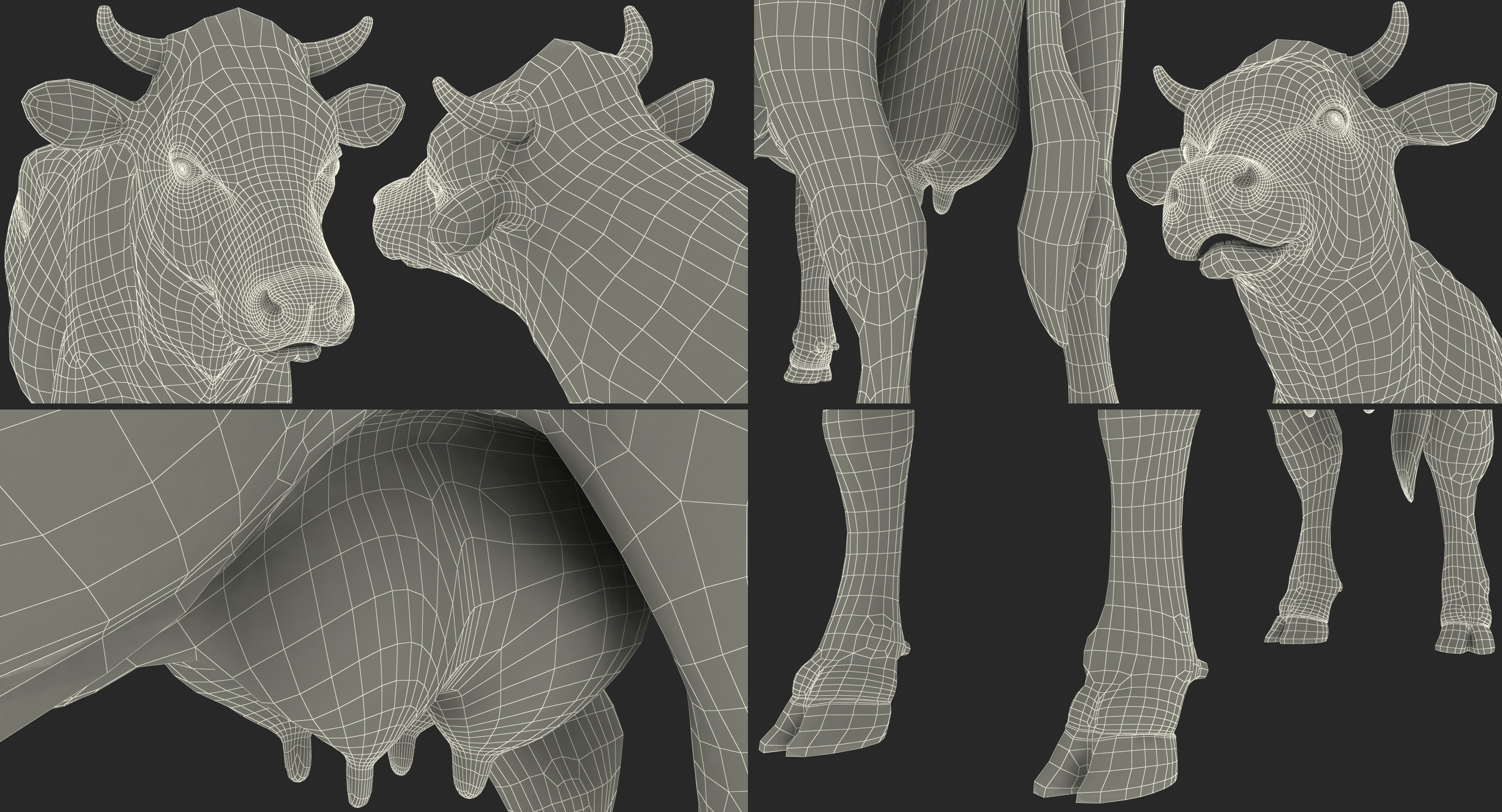 动画牛集合3d模型