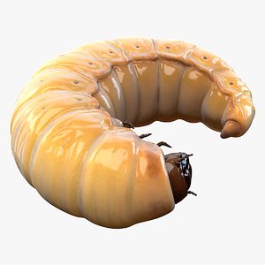 3D realistic maggot pose model