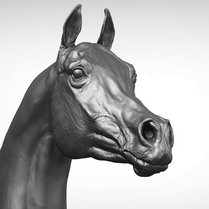 3D model arabian horse head realistic