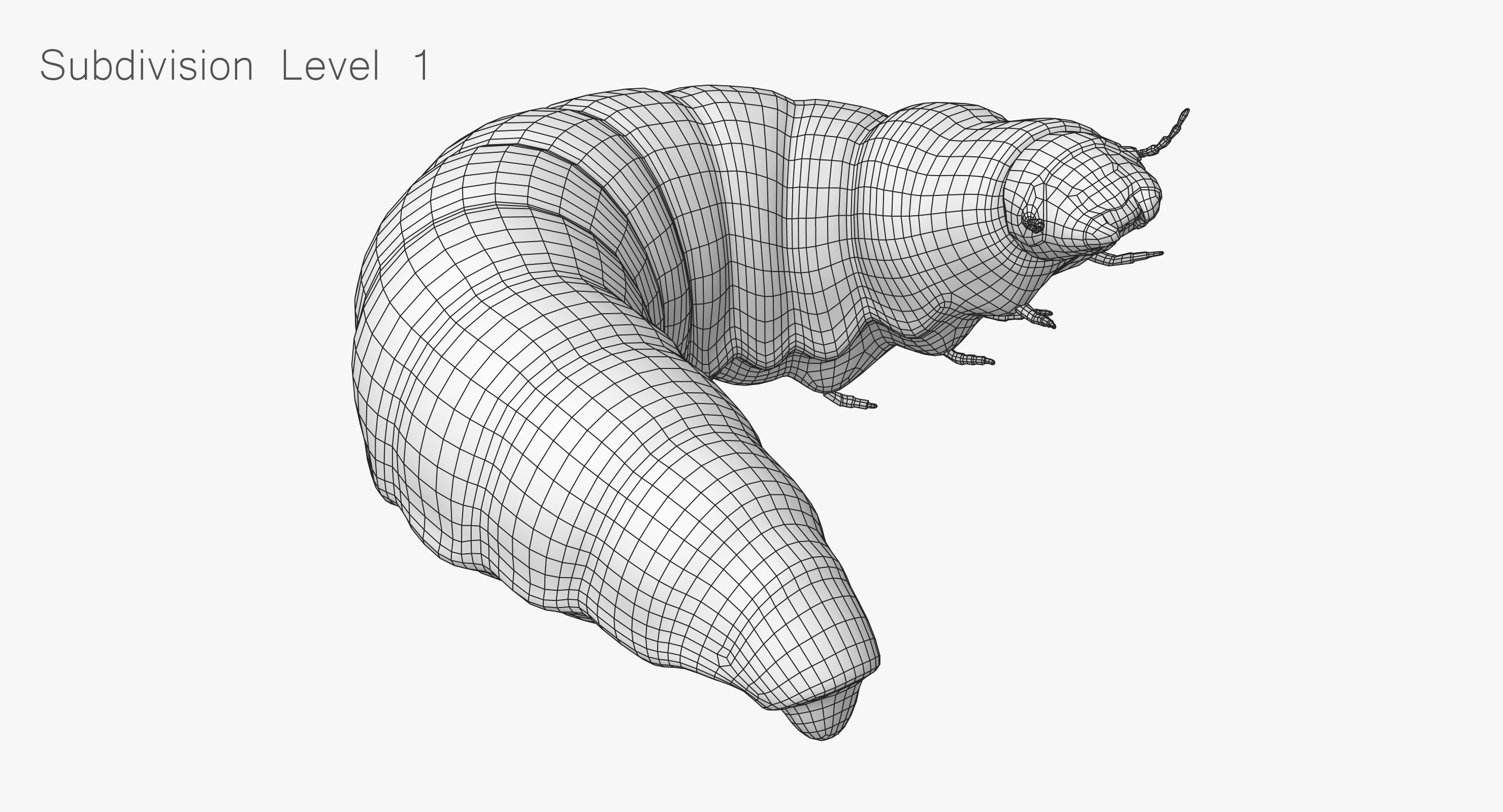 蛆收藏3d模型