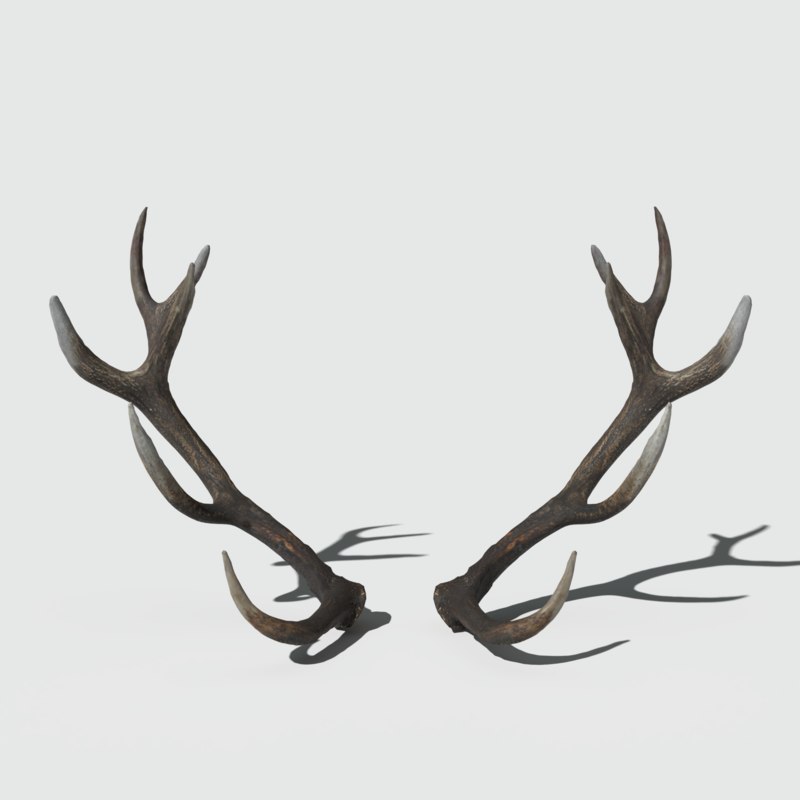 Antlers - white void antlers roblox