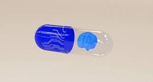 brain capsule 3D model
