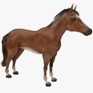 3D realistic horse fur