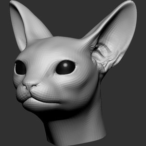 3D cat head base mesh model