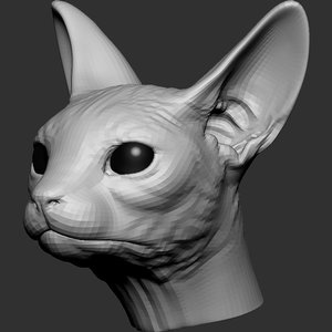 sphynx cat head base mesh 3D