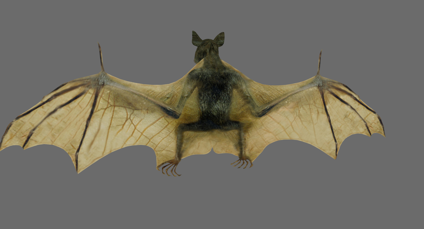 Blender bat format 3D TurboSquid 1426345