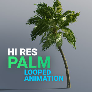 3D model hi resolution palm tree