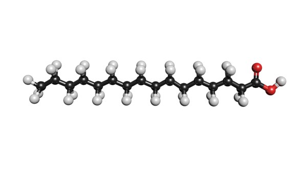 3D model molecule structure