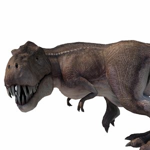 3D model realistic tyranasaurus rex