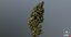 sour diesel cannabis bud model