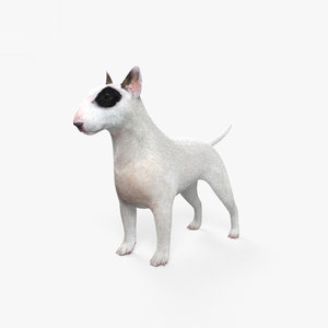 bull terrier 3D model