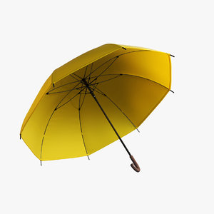 3D umbrella model
