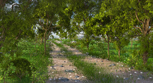 path forest green 3D