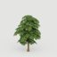 trees 3D model