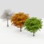 trees 3D model