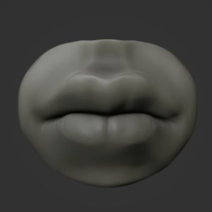 3D anatomy lip