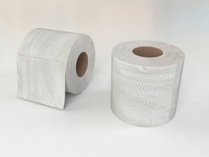 3D toilet paper model