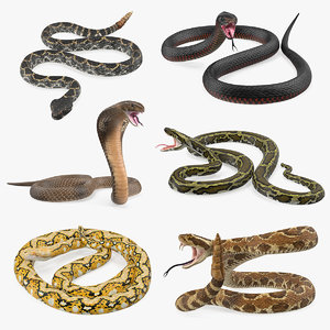 3D snakes 4