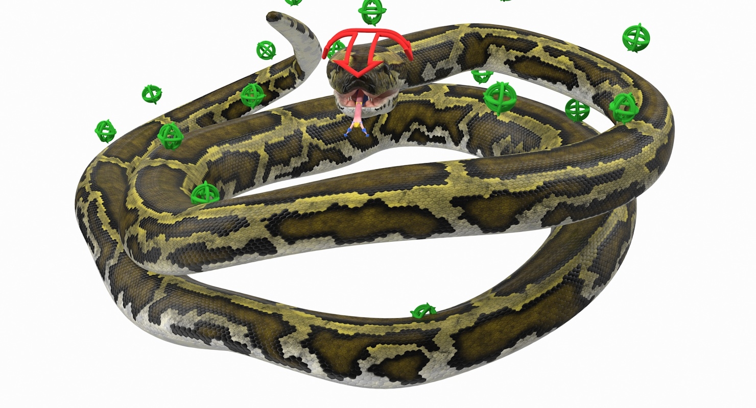 rigged snakes collection 43d模型