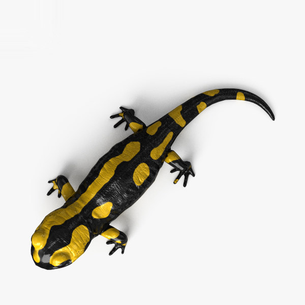 Защелка salamander 2d 3d md13