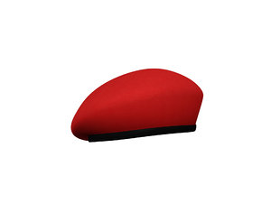 3D military beret