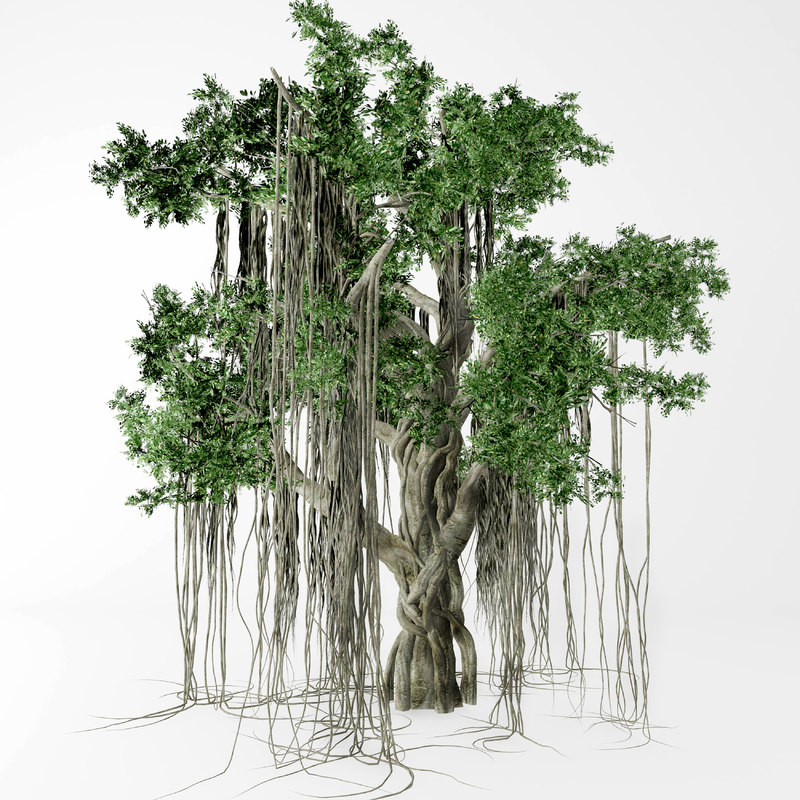 3D banyan tree model - TurboSquid 1427988