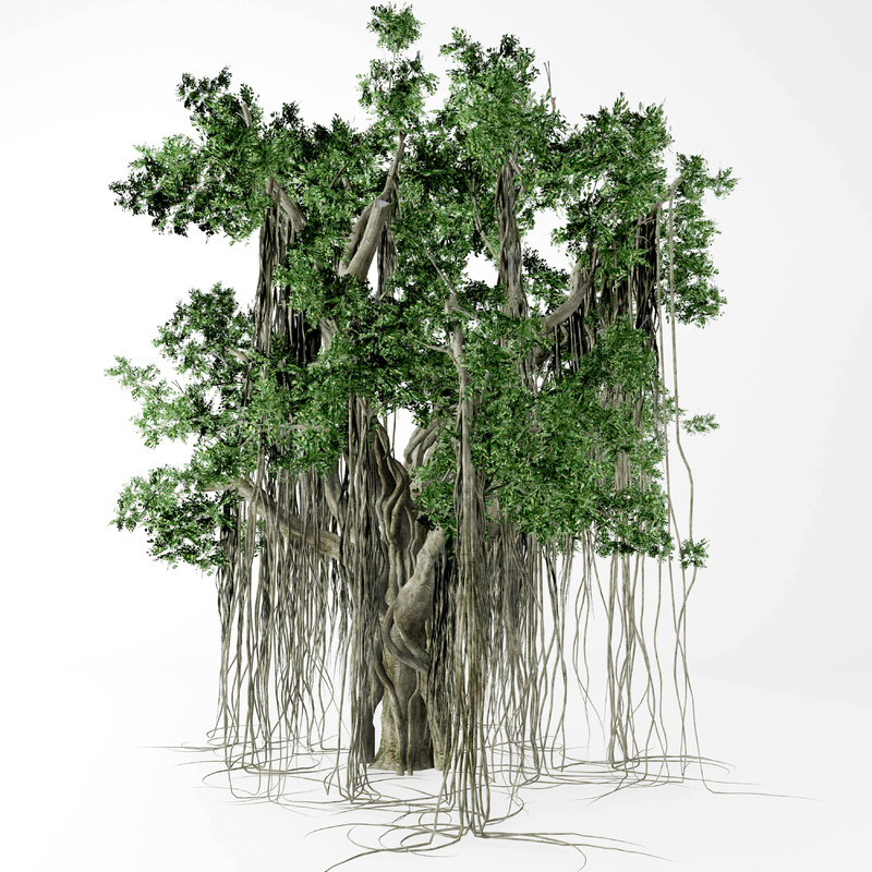 3D banyan tree model - TurboSquid 1427988