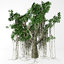3D banyan tree model
