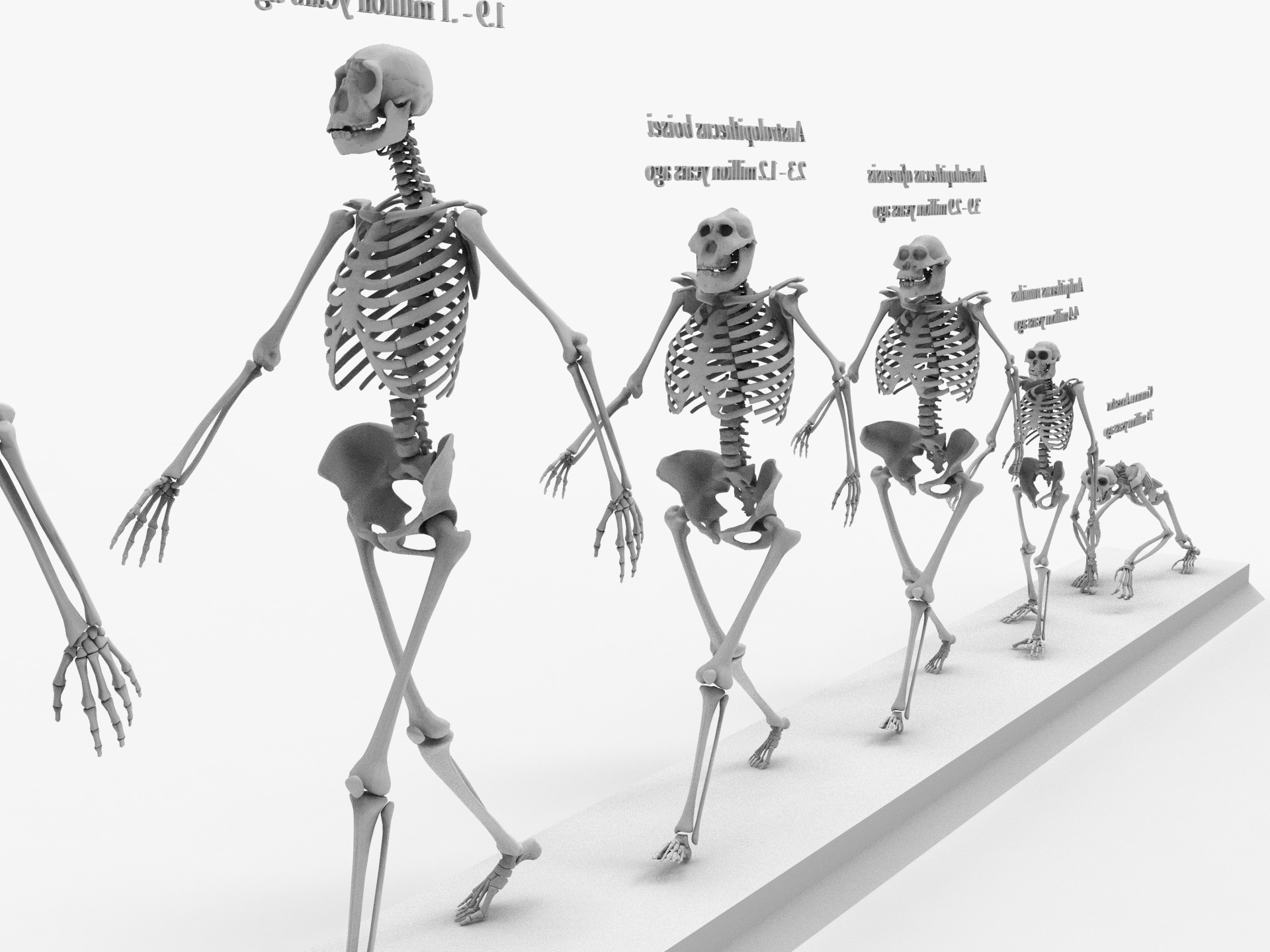 Otherworldly Skeleton Evolution Chapter 2