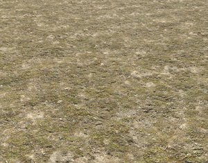 Tundra grass terrain pack