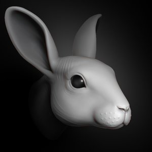 3D rabbit head 2019