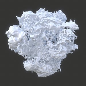 3D model protein science