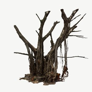 3D scanned banyan tree roots